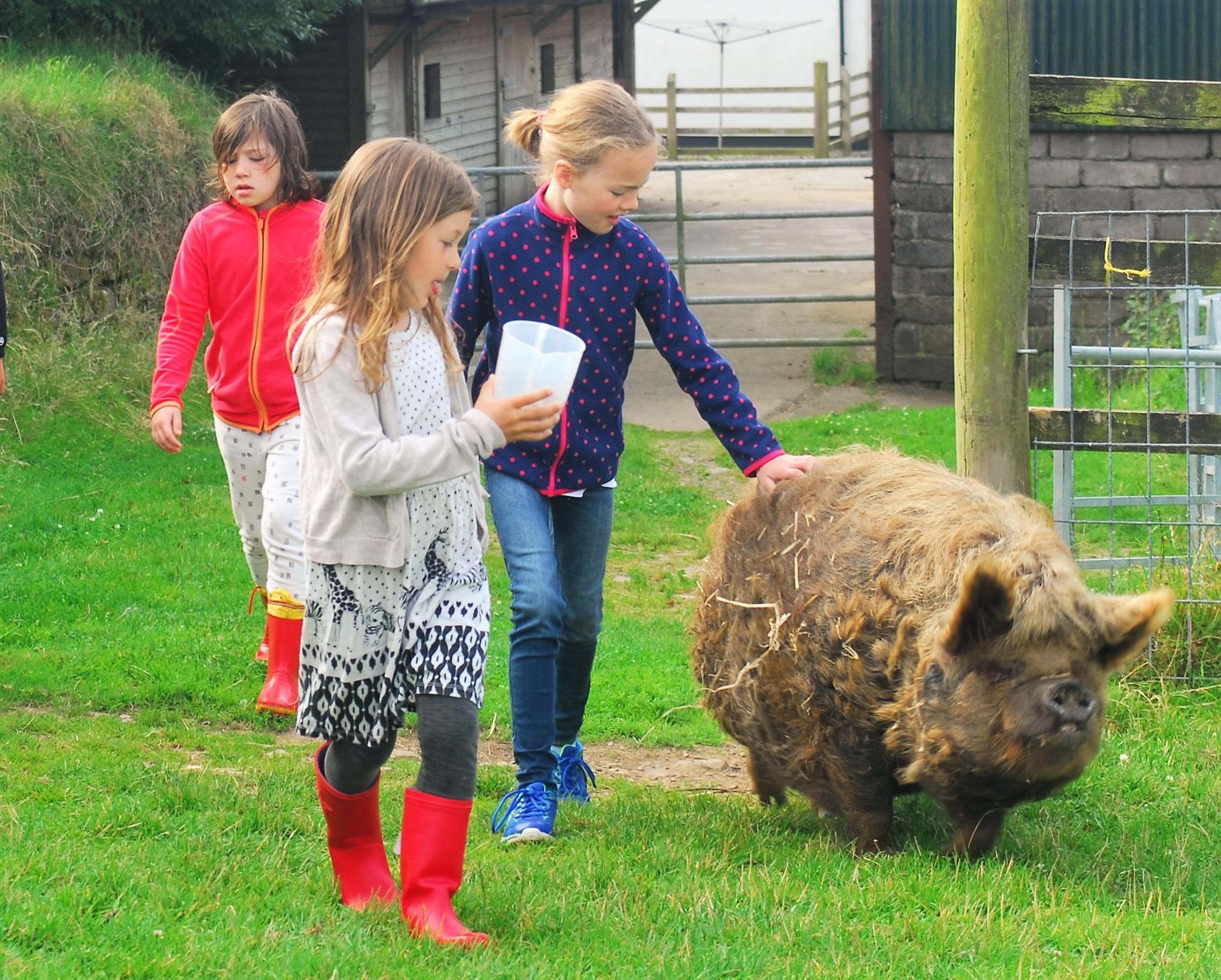 Spring time Farm-Stays in Devon and Cornwall